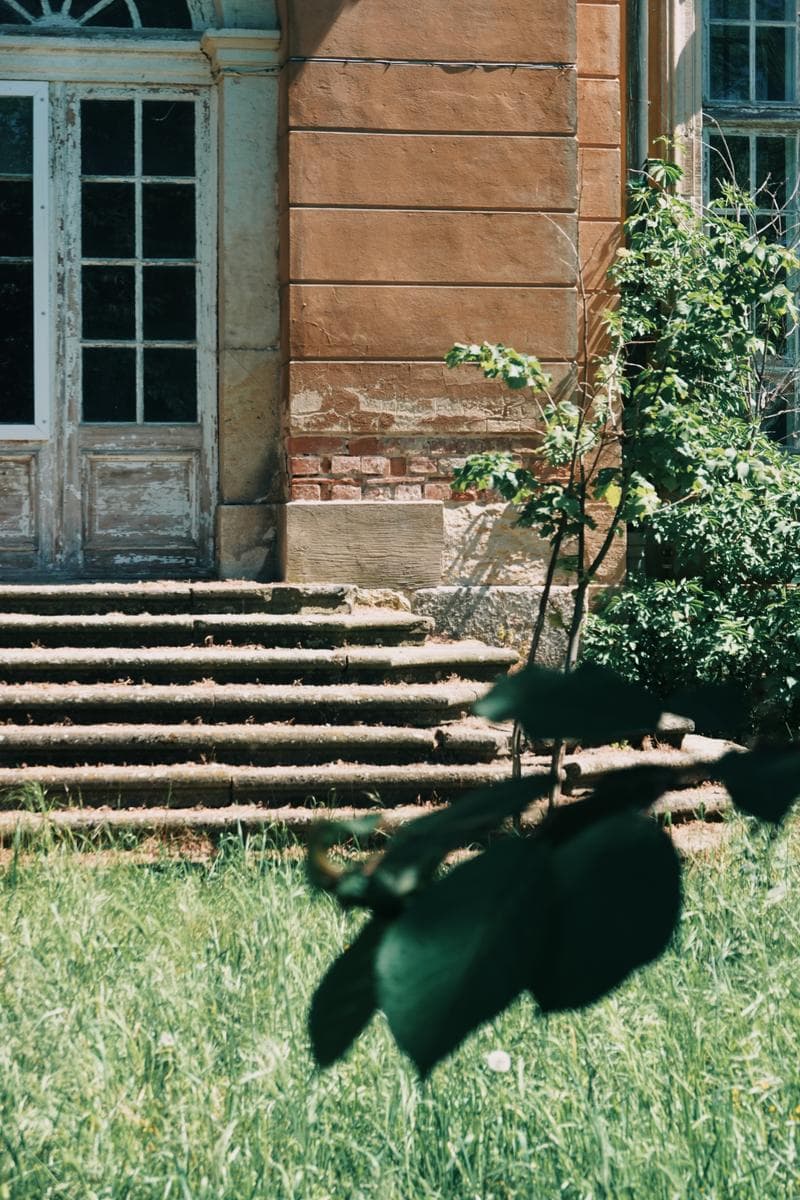 Garden steps leading to castle entrance